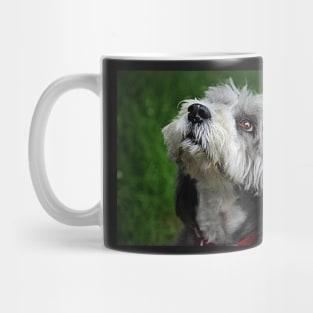 Cassie Mug